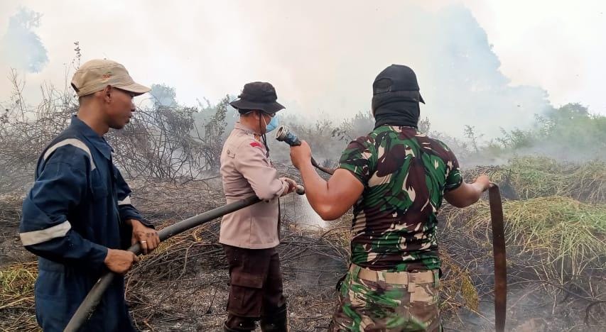 Tim Gabungan Padamkan Karhutla di Kumpeh Ulu, 10 Hektare Lahan Berhasil Dipadamkan