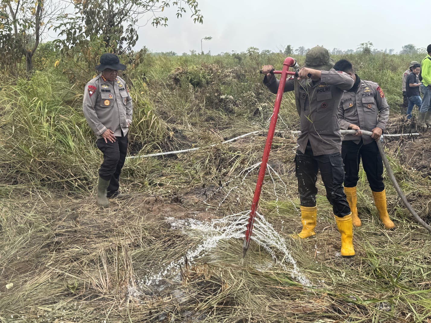 Gunakan Cairan X-FIRE, Polda Jambi Percepat Penanganan Karhutla di Taman Nasional Berbak