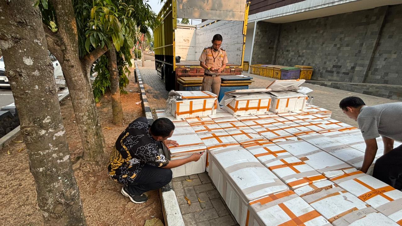 Polda Banten Gagalkan Pengiriman 150 Ribu Benih Bening Lobster, Satu Truk Diamankan