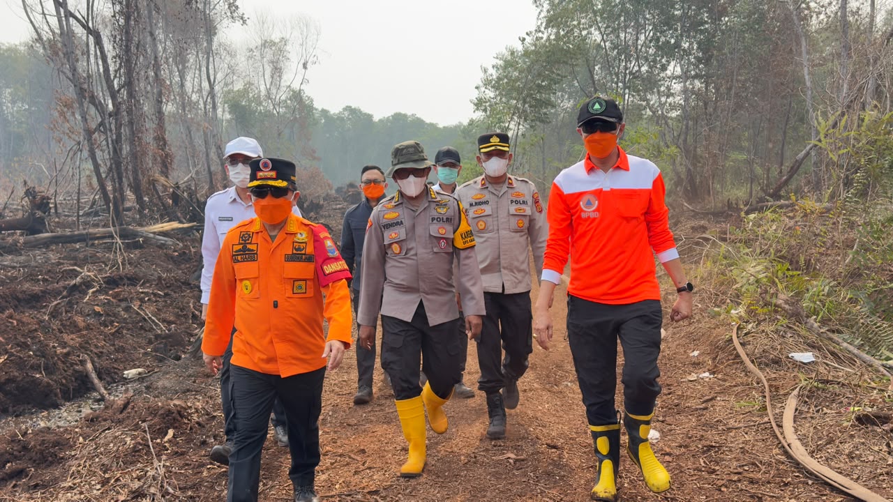 Polda Jambi Bersama Forkopimda Cek Langsung Lokasi Kebakaran di HLG Londerang